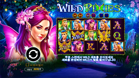 드래곤 킹덤 아이즈 오브 파이어